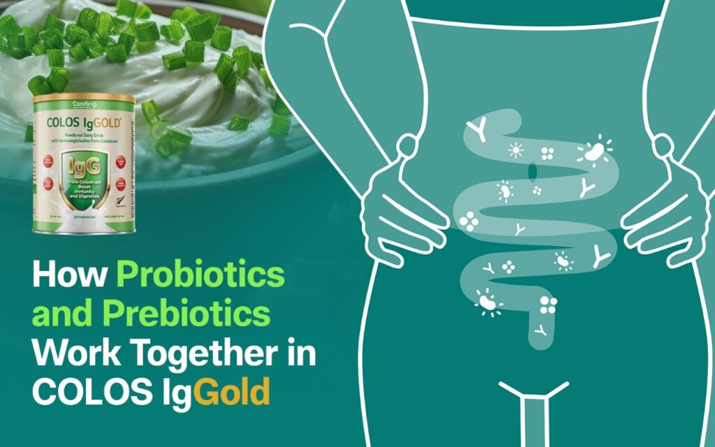How Probiotics and Prebiotics Work Together in COLOS IgGOLD