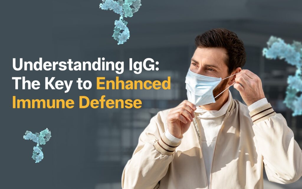 Understanding IgG